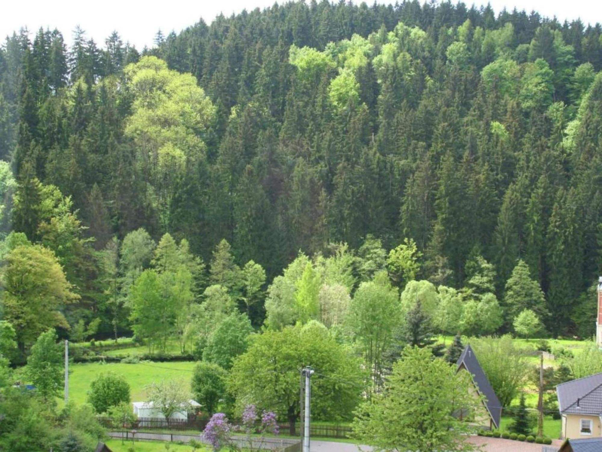 Alluring Villa In Grunhainichen Borstendorf With Garden Leubsdorf Dış mekan fotoğraf